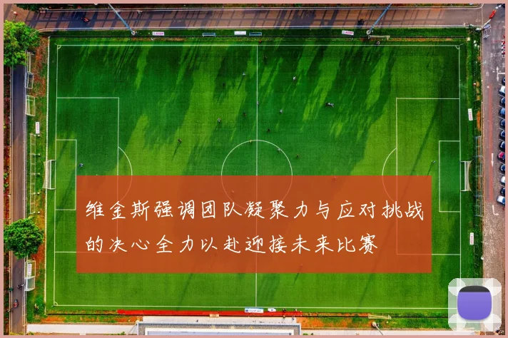 维金斯强调团队凝聚力与应对挑战的决心全力以赴迎接未来比赛